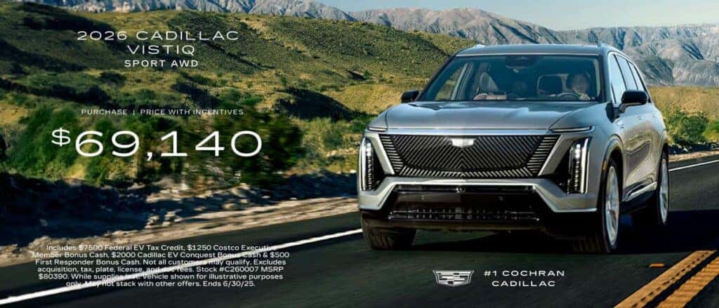 2025 Vistiq