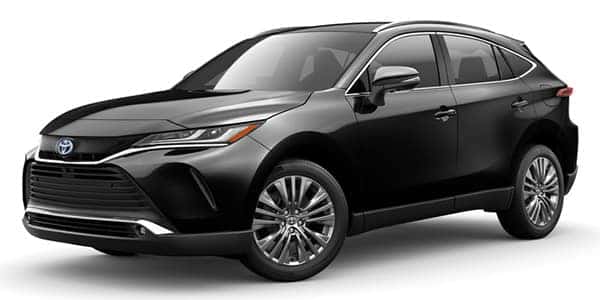 2022 Venza