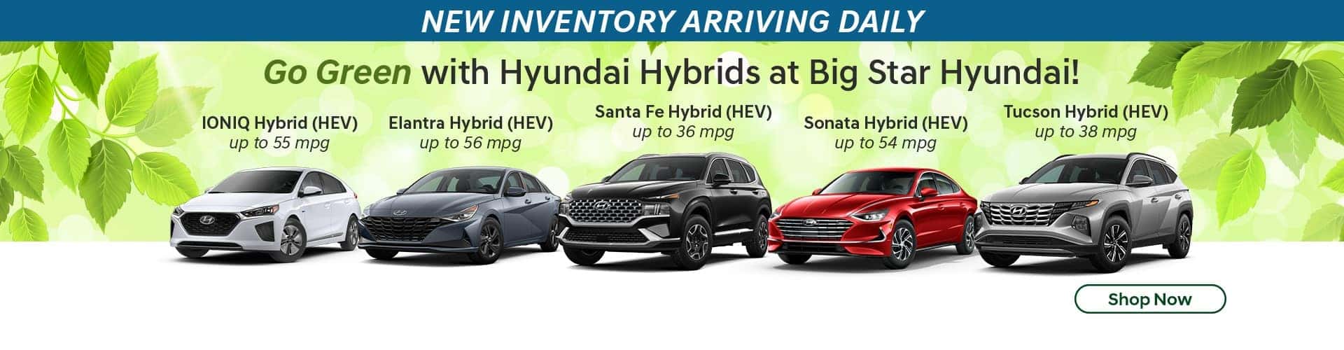 Big Star Hyundai | Hyundai Dealer in Friendswood, TX
