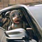 Robo Dog out the window of Kia EV6