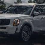 2022 Kia Telluride in woodsy area