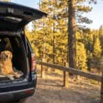 Chevrolet SUV interior with dog-friendly features in Auburn, CA