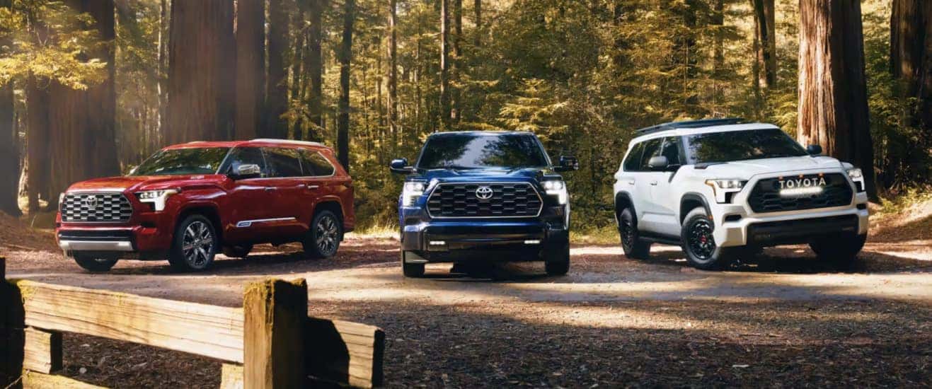 2023 Toyota Sequoia - exterior red, white, blue in forrest
