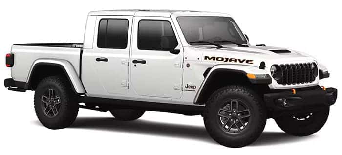 Mojave X
