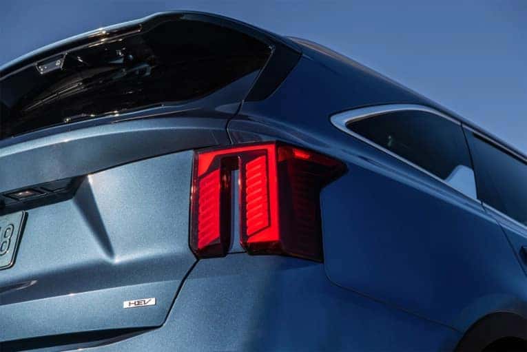 back of blue 2025 Kia Sorento Hybrid