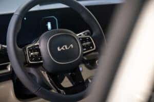 2025 Kia Carnival steering wheel
