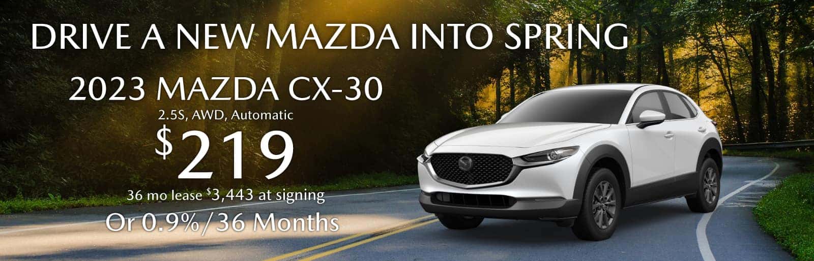 MARCH CX30 2023