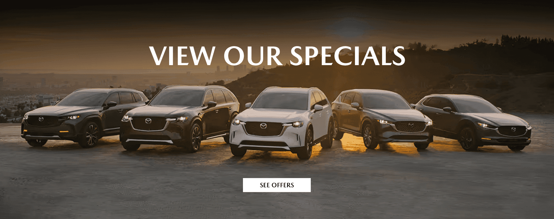 View Our Specials