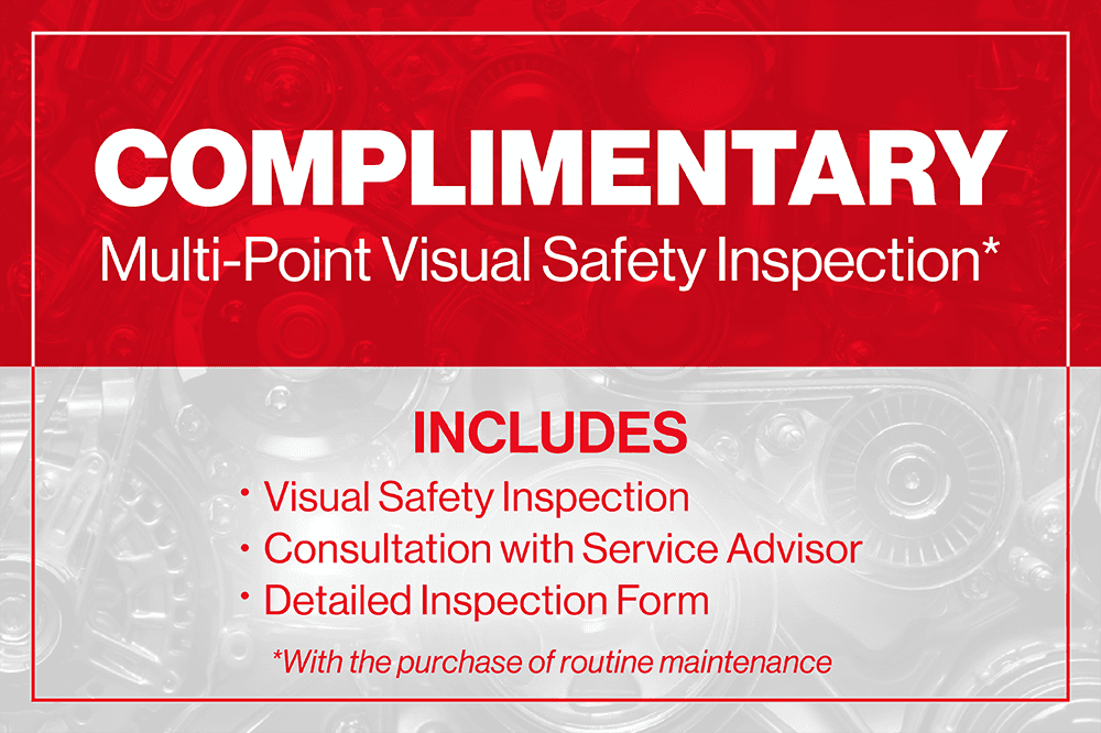Multi-Point Visual Safety Inspection Complimentary