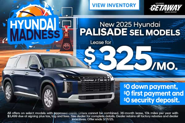 <center><strong>2025 Hyundai Palisade SEL</strong></center>