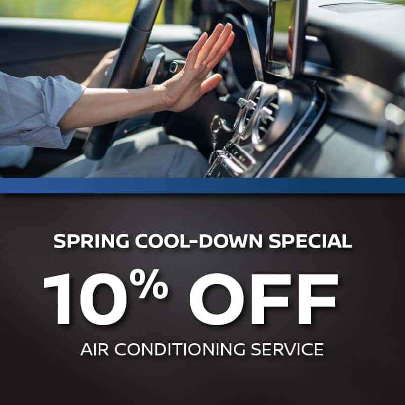 Spring Cool-Down Special