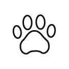 Paw Print Icon