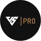 Vanspeed Pro Icon