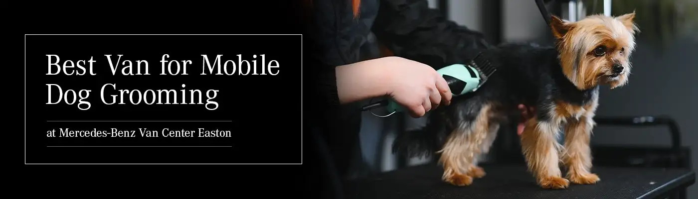 Best Van for Mobile Dog Grooming Businesses