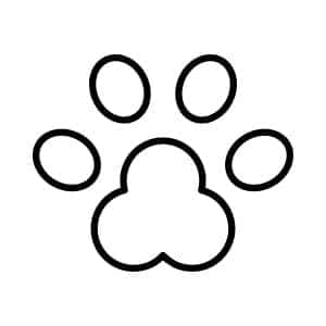 Mobile Dog Grooming