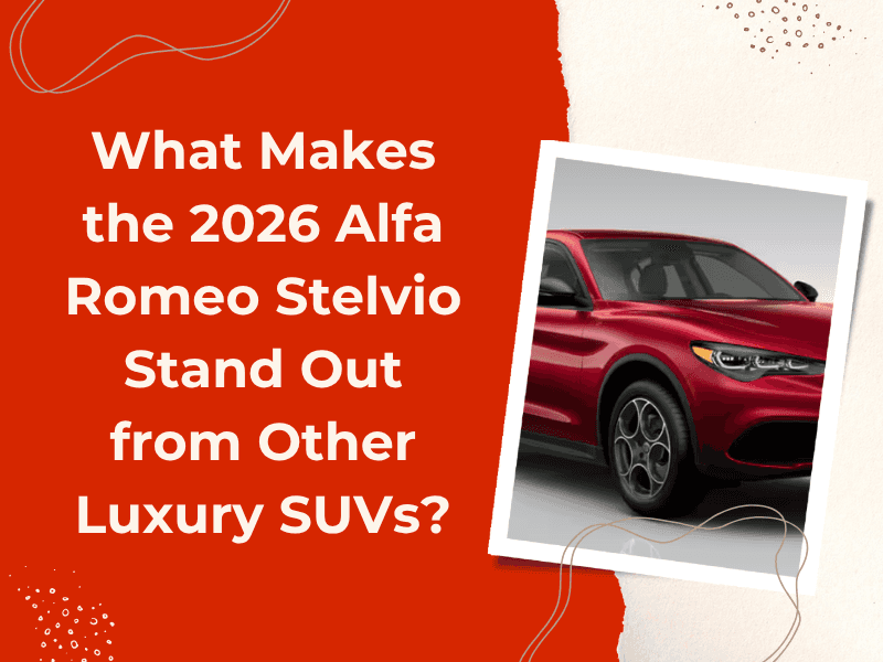 2026 Alfa Romeo Stelvio Stands Out 2026 Alfa Romeo Stelvio Stands Out