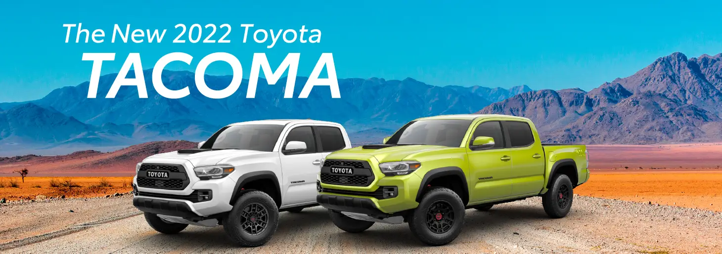 Welcome to Morgan City Toyota | Toyota Dealer in Morgan City