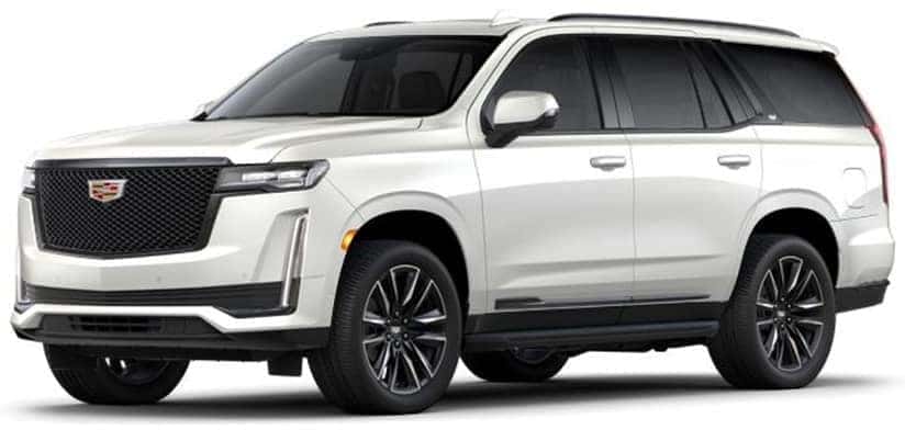 Sport Platinum
