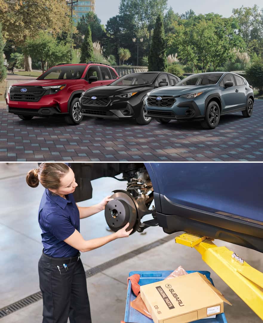 Shop New & Used Subaru Models Near Greenville, NC