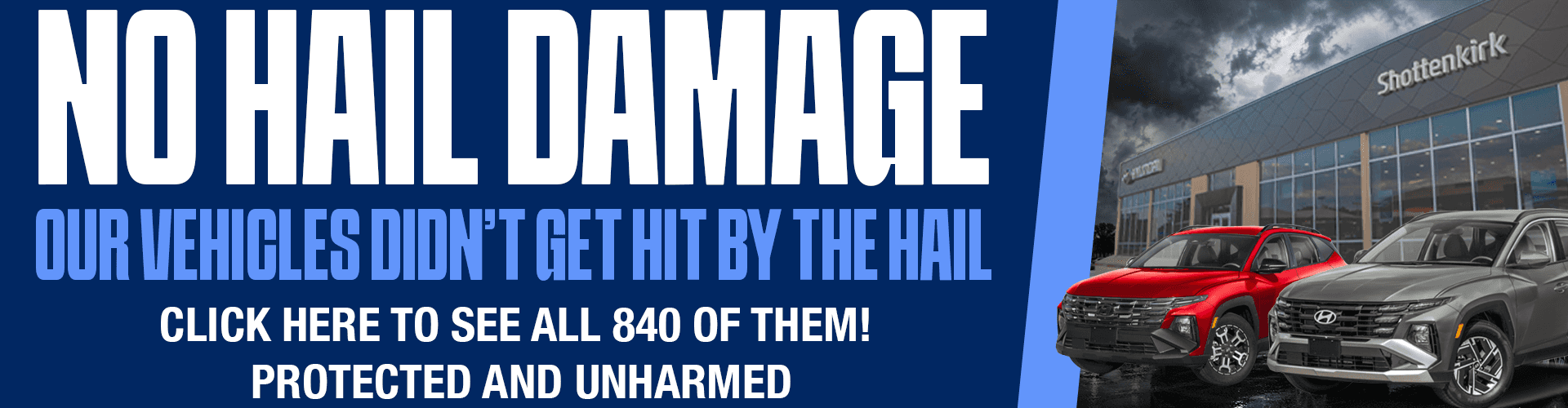 No Hail Damage