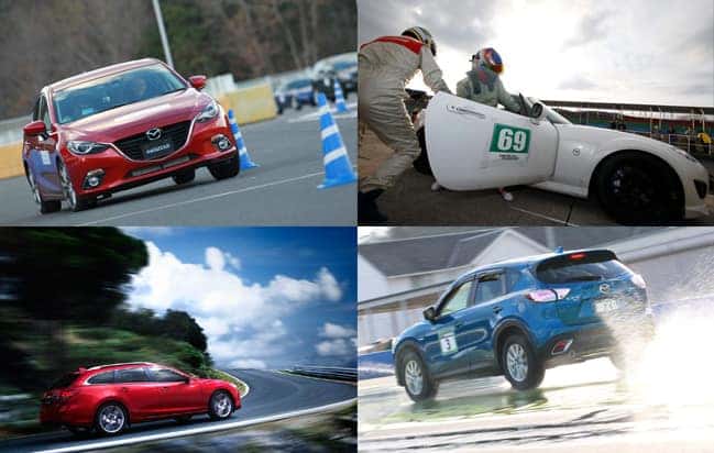 Collage of Mazda Spirit Racing vehicles