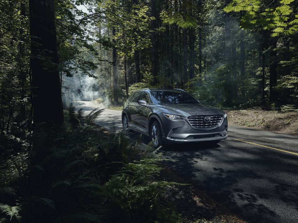 A Mazda CX-9 driving through a forest